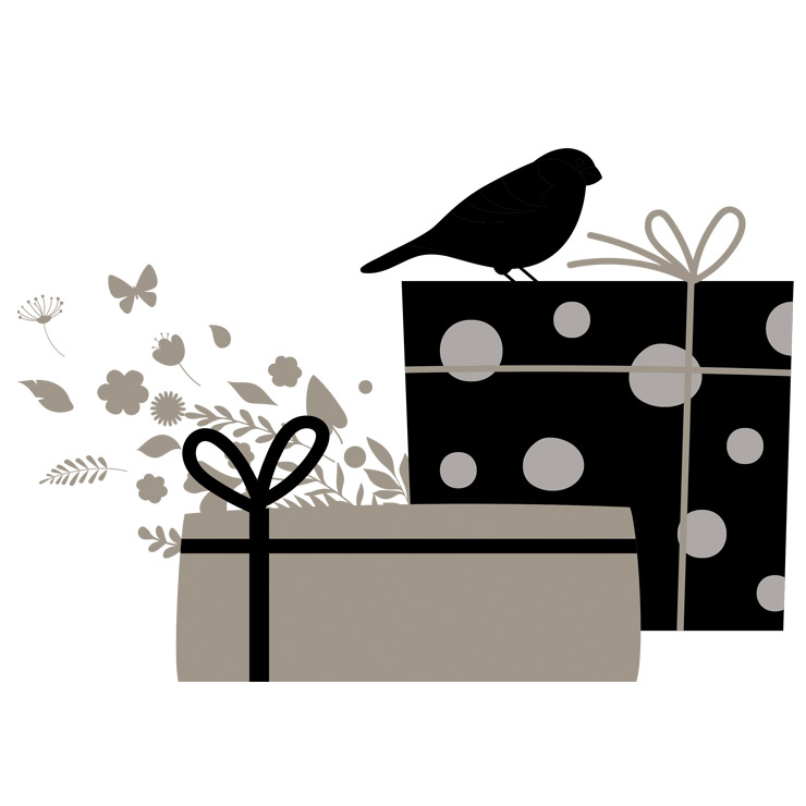 Image d'illustration de l'offre "Gift Boxes"