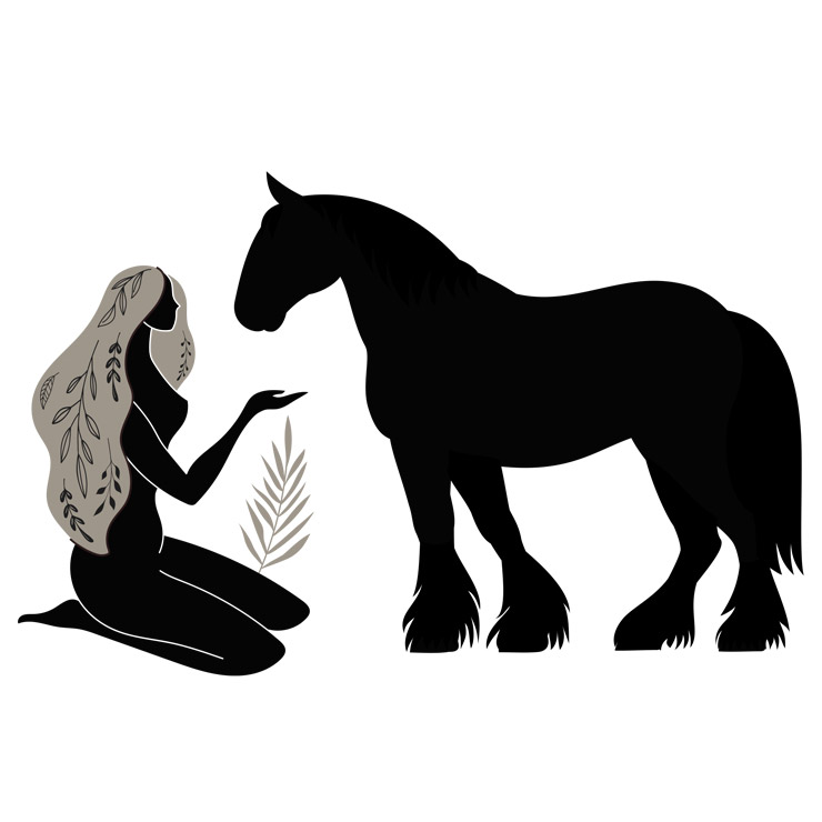 Image d'illustration de l'offre "Médiation équine"